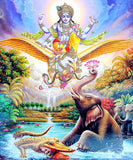 indian god Buddha elephant Nose